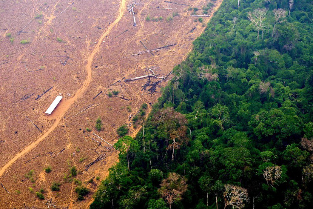 巴西北部亞馬遜州拉布里亞地區亞馬遜雨林今年九月遭焚燒濫伐情況。（法新社）