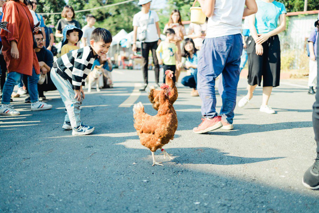 友雞運動會，圖｜吹狗螺音樂生活節提供