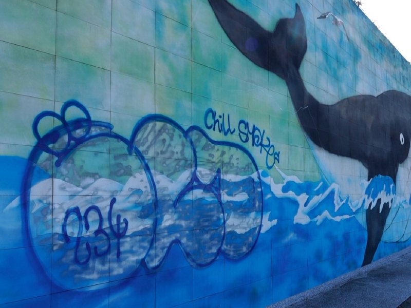 石門區石門洞對面的鯨魚彩繪陶板牆卻被塗鴉破壞，石門區公所籲發揮公德心，也趕緊請廠商恢復原貌。 圖／紅樹林有線電視提供