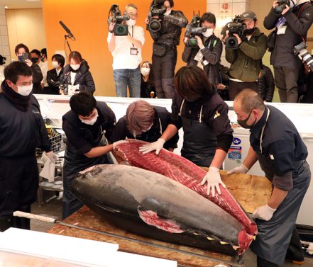 東京豊洲市場今年新春拍賣的頭一尾鮪魚，以1,690萬日圓成交，較去年少了20%。受到疫情影響，這是六年來首度得標價低於2,000萬日圓。歐新社