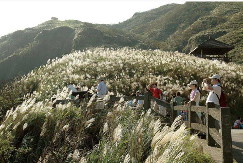觀光局精選出8條樂齡旅遊示範遊程，其中包括宜蘭的草嶺古道。圖／東北角風管處提供