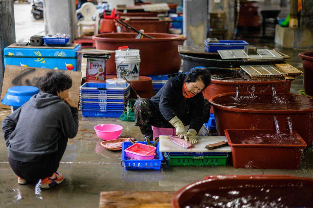 南韓漁民忙著處理剛捕的魚。（法新社）