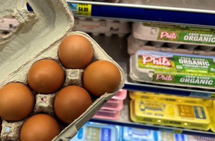 美國今年爆發史上最嚴重的禽流感，導致雞蛋供應吃緊，價格隨之飆漲。（路透）