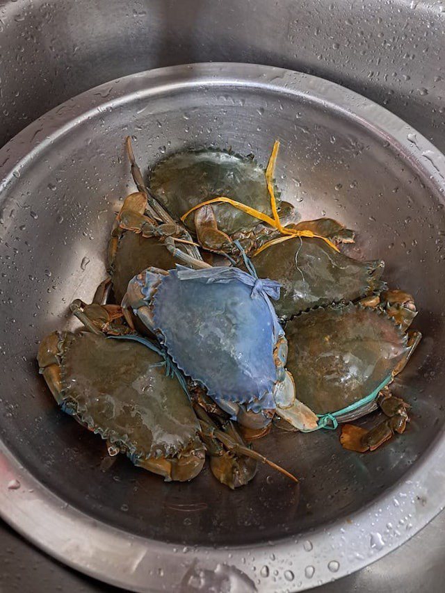香港有網友買到「藍殼蟹」，專家解釋煮熟食用並不會有問題。圖截取自臉書