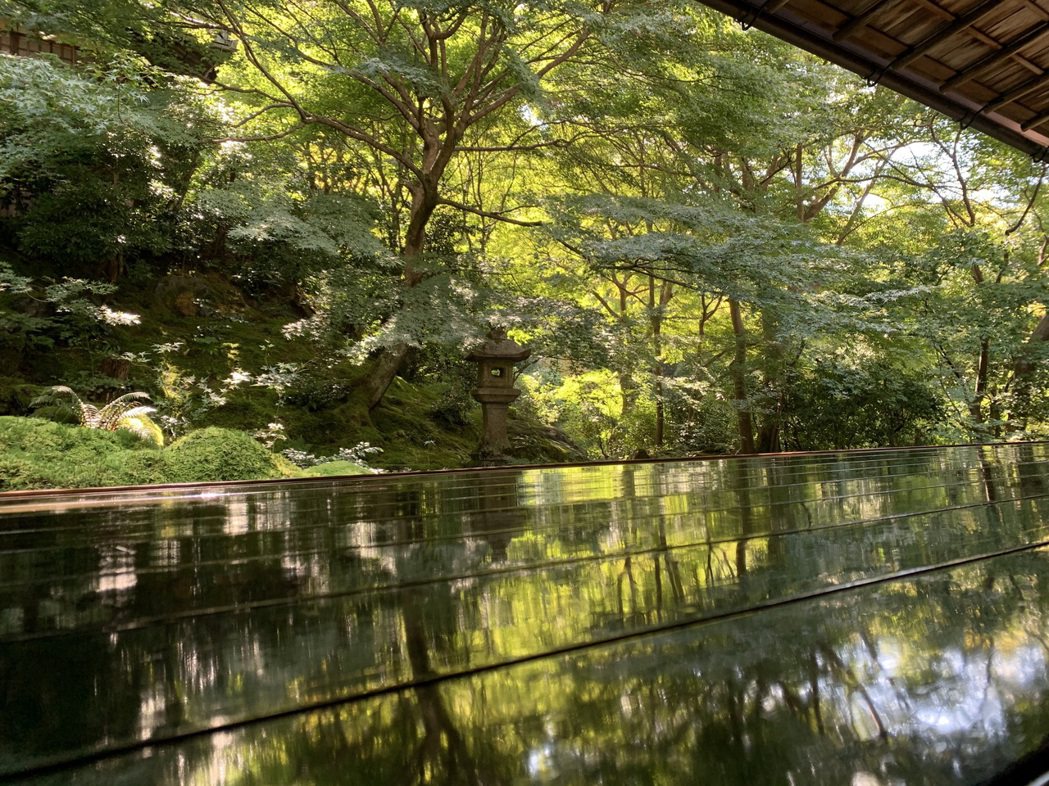 京都琉璃光院開放的第一天，即使完全沒有楓紅，還是趕路去看一眼。 圖／黃麗群提供