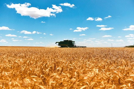 聯合國糧農組織（FAO）2日公布，11月全球糧價降至1月來最低水準。（路透）