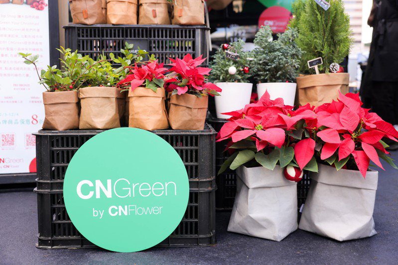花藝品牌「CNFlower西恩」以CNGreen點點綠Pop-up Shop出攤「500趴2022」，帶來多款迷你可愛又應景的「聖誕小森林系列」。圖／500輯採訪團隊攝影