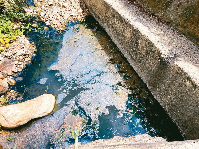 連接新北貢寮卯澳灣溪流的油汙無法散去。圖／三貂角文化發展協會莊育偉提供