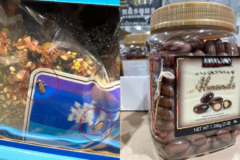 芝麻香鬆外包裝有蟲（左）、罐裝巧克力上面有壁虎（右）。圖擷自Costco好市多 商品經驗老實說