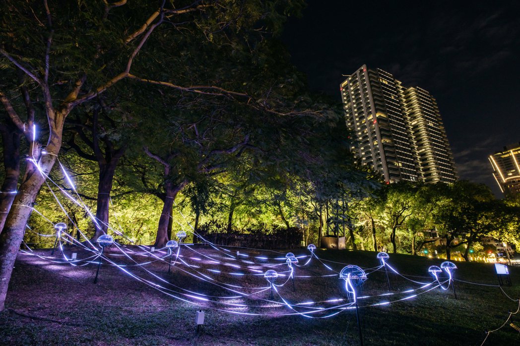 張欣語〈樹的噪訊〉。 圖／2023臺灣國際光影藝術節提供