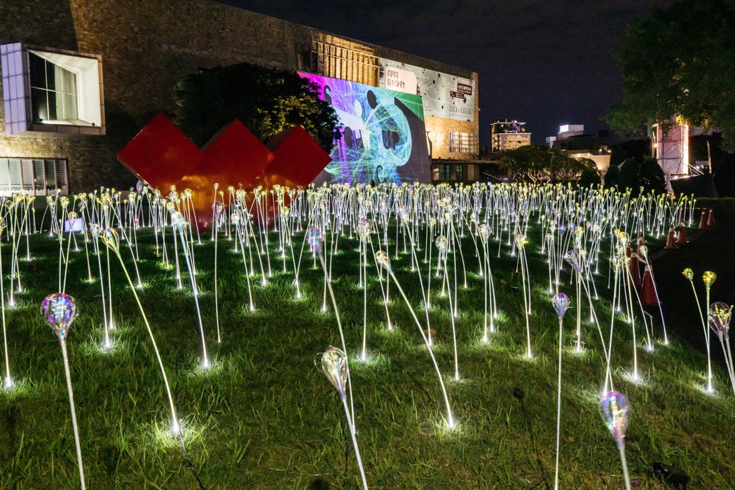 〈植光花〉與〈反射研究〉。 圖／2023臺灣國際光影藝術節提供