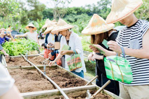 地食新竹透過旅行與飲食，讓民眾擺脫新竹既有印象，重新窺探新竹在地人文、飲食文化的...