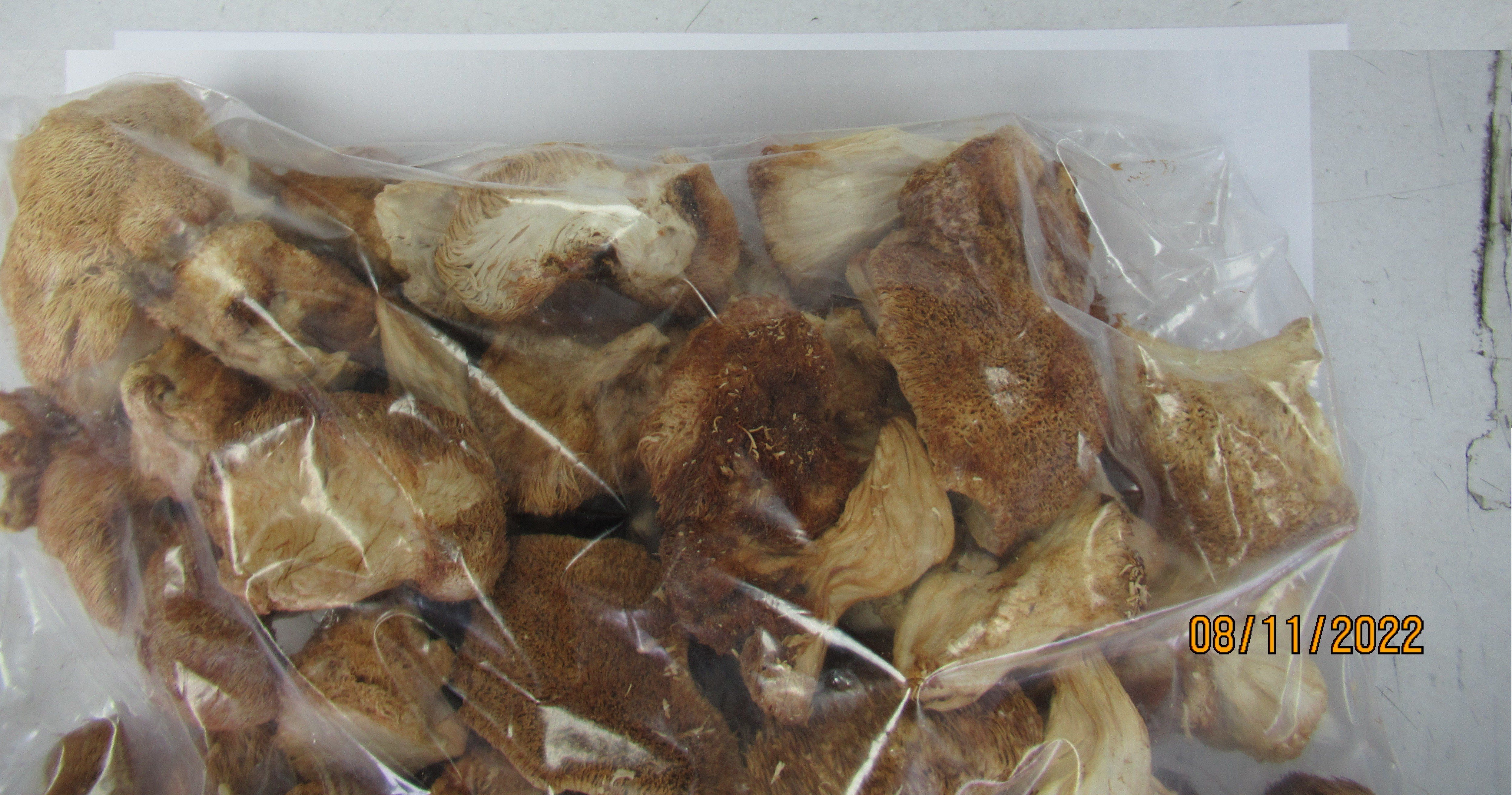 中國大陸出口「乾猴頭菇(DRIED HERICIUM MUSHROOM)」檢出農藥殘留含量不符規定。圖／食藥署提供