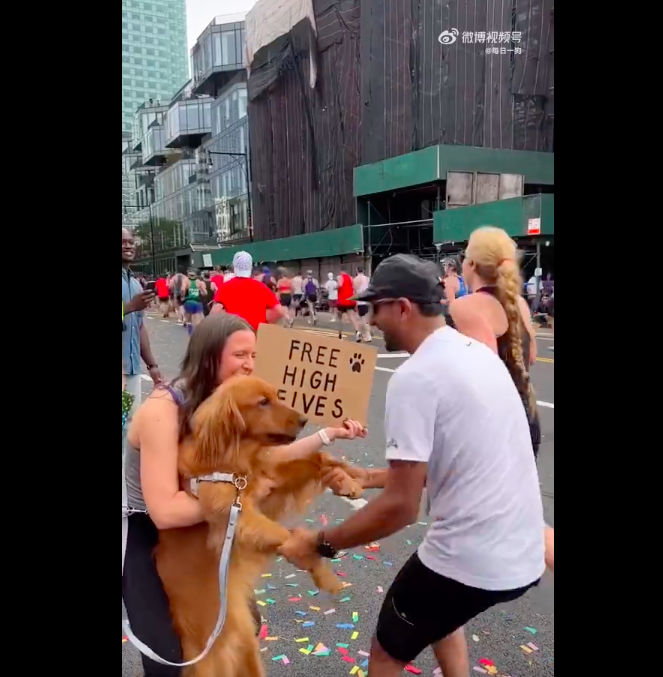 影片中許多馬拉松選手看到可愛的阿金都忍不住停下來擼狗。圖/翻攝自微博