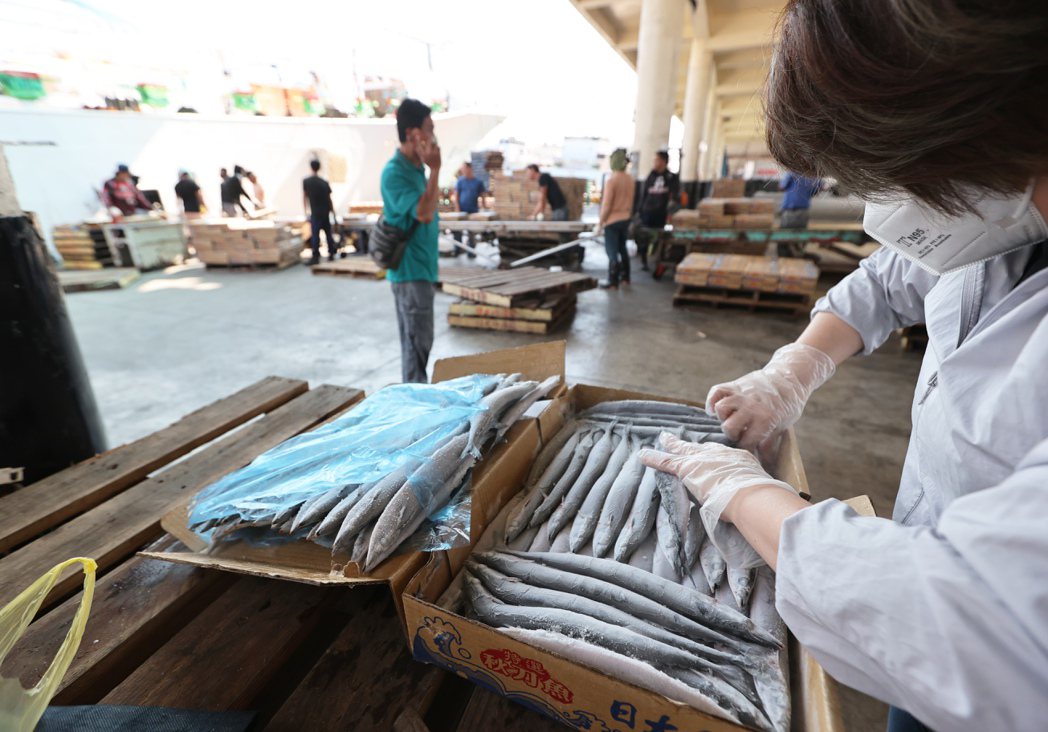 大陸海關總署昨天突然宣布禁止台灣漁水產加工品入關，其中包括秋刀魚、魷魚和午仔魚都...