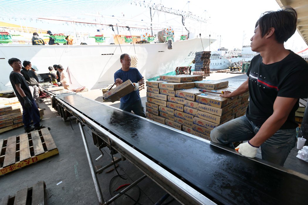大陸海關總署昨天突然宣布禁止台灣漁水產加工品入關，其中包括秋刀魚、魷魚和午仔魚都...