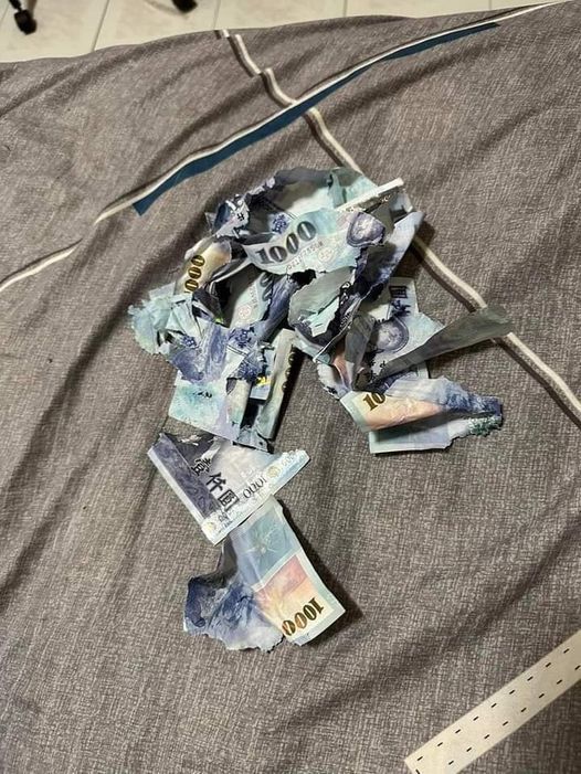 網友的千元鈔票被自家狗狗毀損。圖/爆料公社。