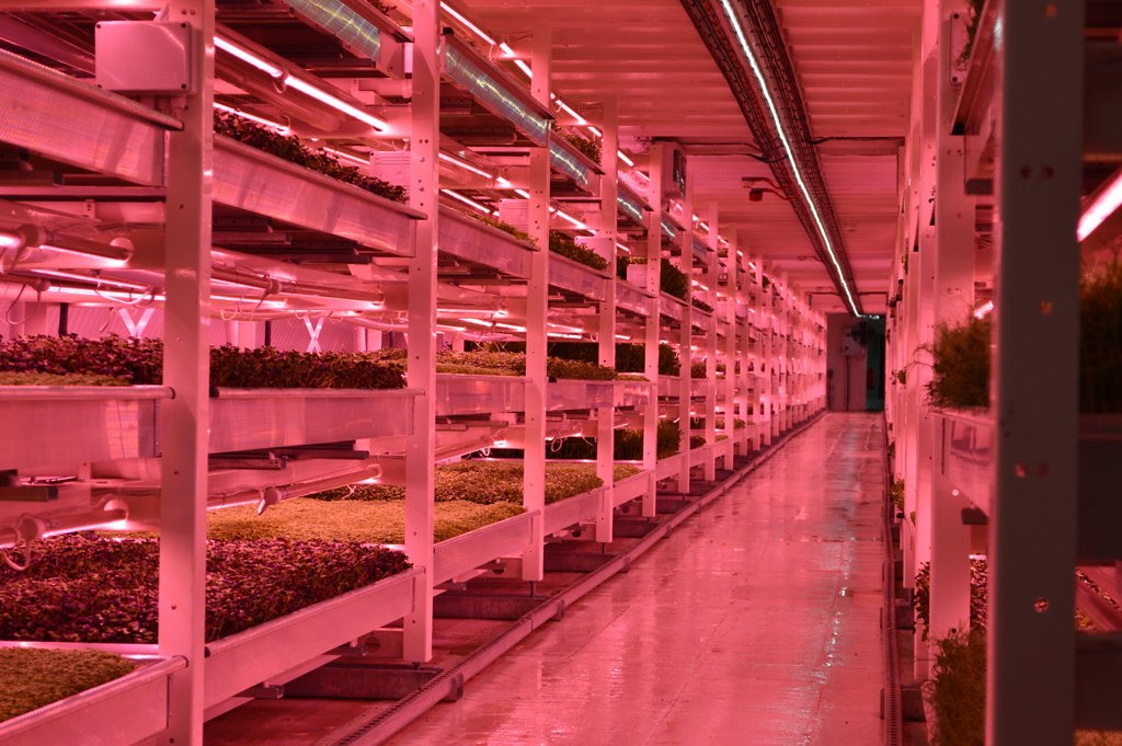 在城市糧食安全考量下，垂直農場正在崛起。 圖片來源： Matt Brown（CC...