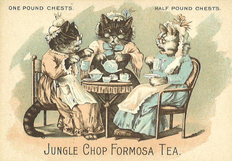 ▲ 三隻貓咪喝茶聊天的貿易卡，下排寫著「Jungle Chop Formosa Tea」 (來源：作者提供)