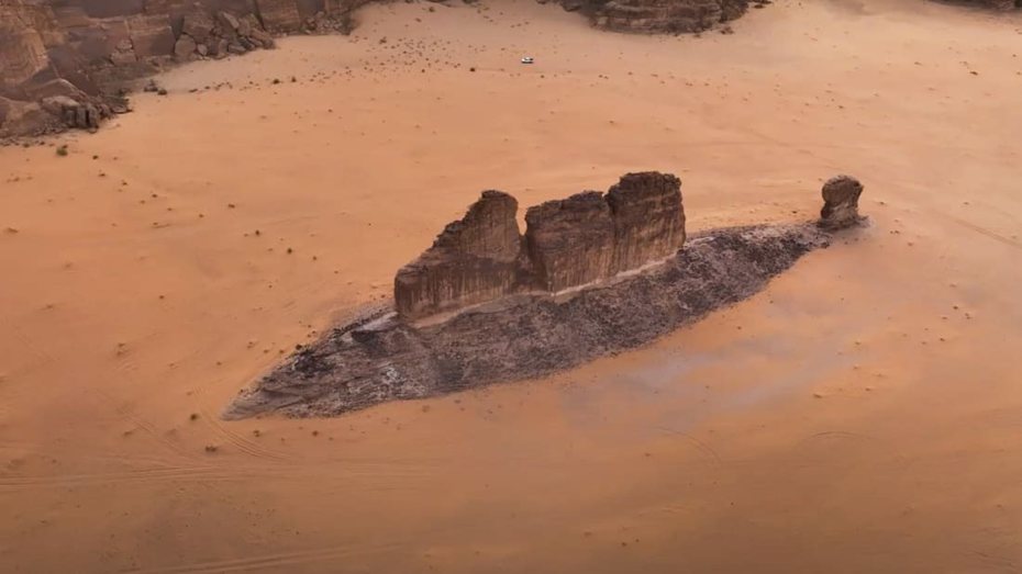 一名攝影師拍到一塊長得像大魚的岩石，照片上傳到網路後引發網友熱議，不少網友認為這是「巨大海獸的遺骸」。 (圖/取自影片)