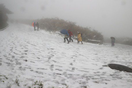 寒流來襲陽明山有機會飄雪　北市交通局：入山車輛須掛雪鏈