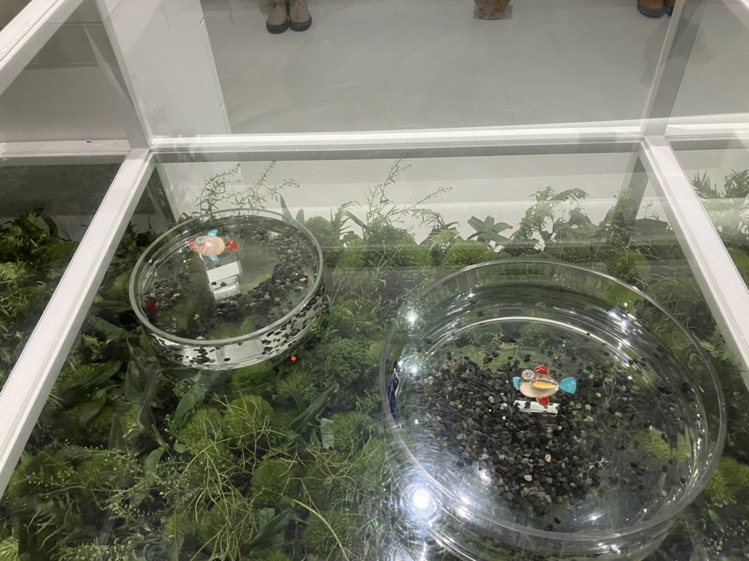 於陳季敏大安概念店展出的龔遵慈珠寶，以魚缸呈現魚形珠寶，別有趣味。記者孫曼／攝影