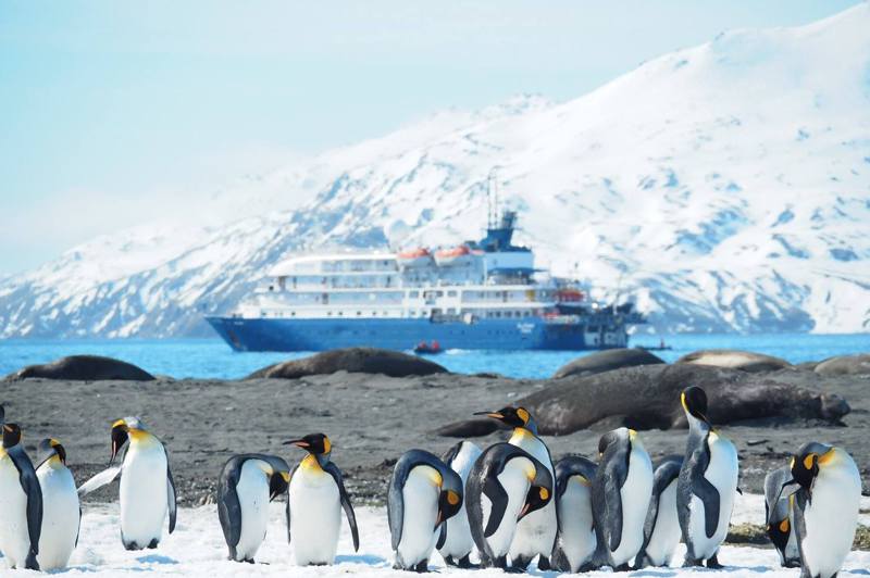 晴天旅遊推出每人98萬元的南極之旅共拿了20間房，全數賣光。圖／取自晴天旅遊臉書