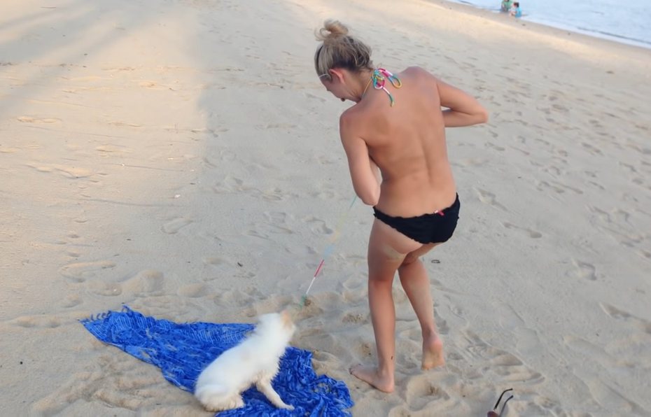 白汪在沙灘拉扯女孩的比基尼，攻勢相當凶猛。圖擷自Youtube