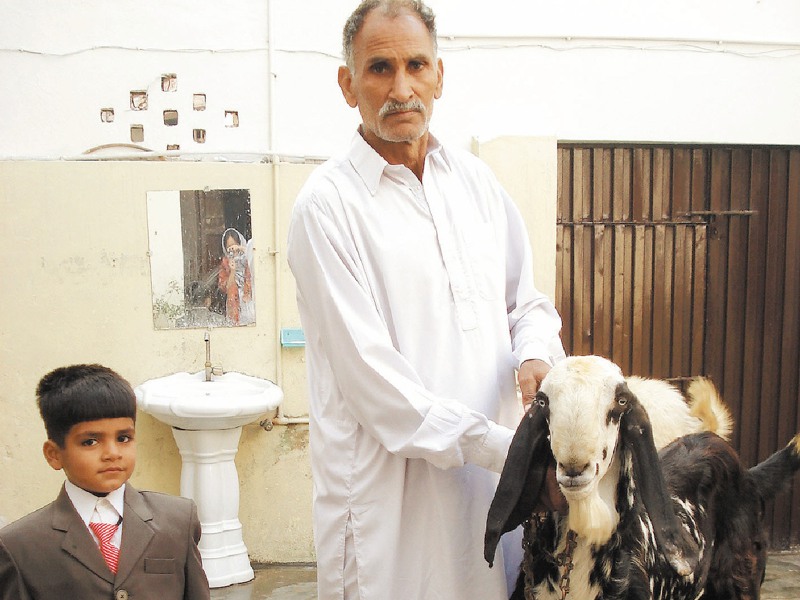 在忠孝節這天，巴基斯坦的男主人總是穿上一身鮮白的旁遮普服裝，牽著一隻待宰的羊。圖／亞瑟蘭提供