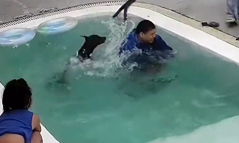 當男子救起落水狗的時候，另一隻狗狗竟然跳下水添亂。圖擷自微博