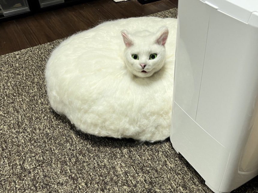 有強者將掃地機器人蓋上羊毛氈，看起來就是躲在棉花糖裡的白貓。圖擷自@sacocho