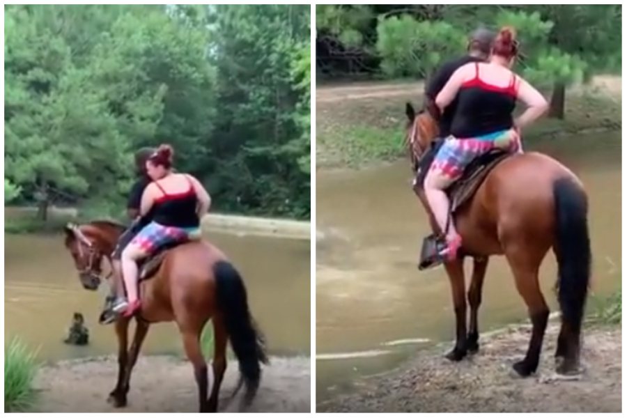 一匹棕馬載著兩名肥胖的男女被命令渡河，因為負重過度非常不願前進。圖取自reddit