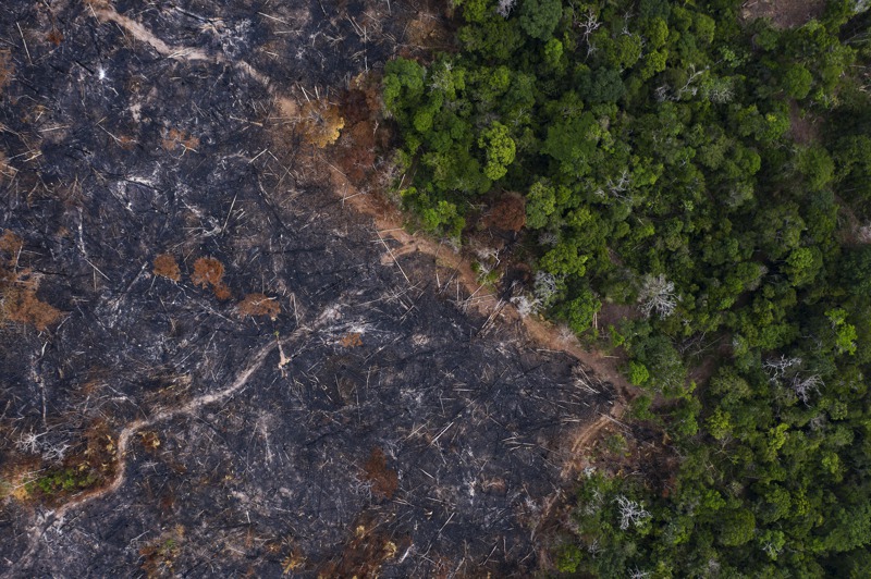 巴西亞馬遜雨林2019年遭焚毀的空照圖。巴西前總統波索納洛執政4年間，巴西雨林濫伐規模為1988年以來最大。美聯社