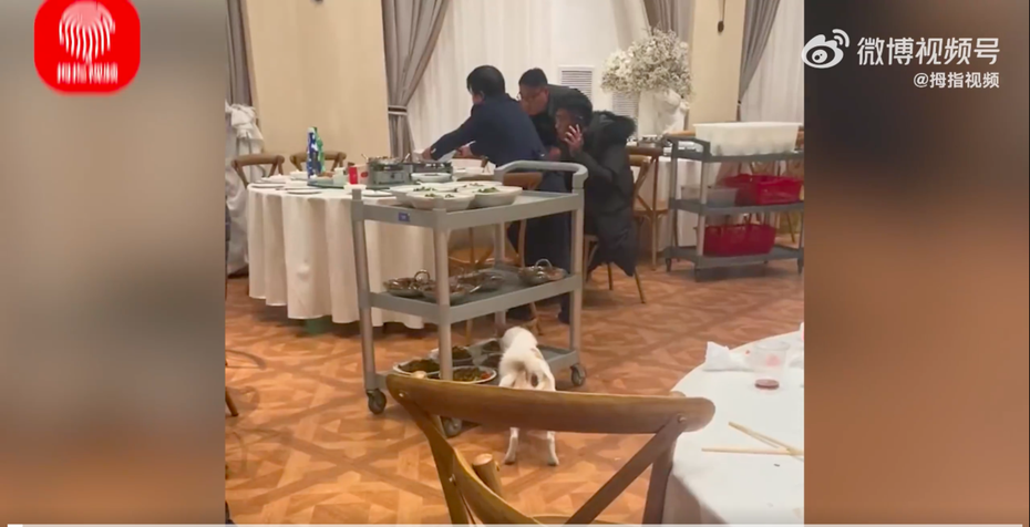 有網友拍下自己參加酒席，發現隔壁桌狗狗偷吃餐車飯菜的影片。圖／翻攝自微博