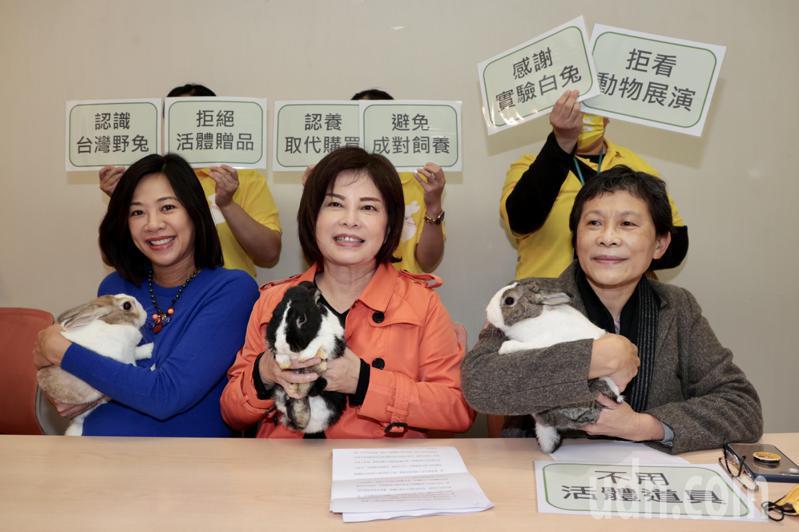 台灣愛兔協會、台灣動物保護行政監督聯盟與立委陳椒華（右起）、賴惠員與吳欣盈等，上午在立法院舉行「兔兔不是只有可愛而已 兔年應注意的十件事」記者會， 呼籲社會大眾在兔年之際，不要一時興起，又因價格便宜、取得容易就輕易養了兔子。記者黃義書／攝影