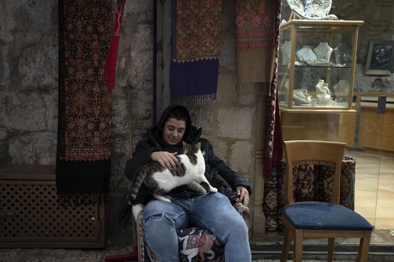 耶路撒冷的猫。美联社(photo:UDN)