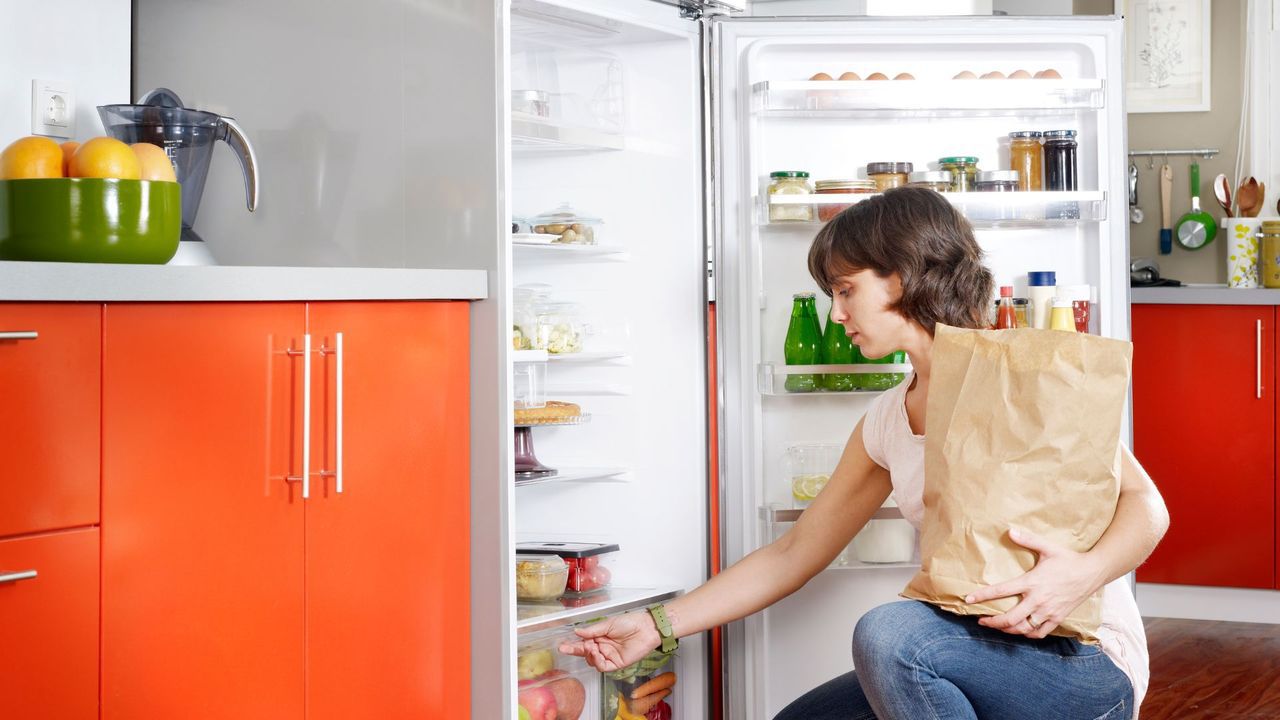 分類分區、透明收納是冰箱整理的兩大原則，一目了然、方便取用，後續的清潔也變得輕鬆容易。圖片／Canva