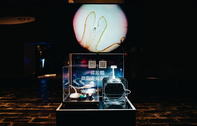 「微光漂流」以虛實整合方式讓民眾認識浮游生物之美。 圖／國立海洋生物博物館提供