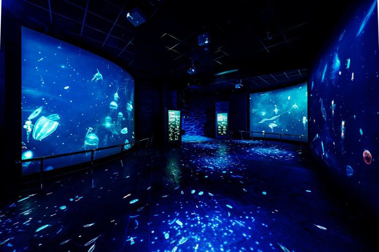 2023全新「微光漂流」沉浸式互動體驗隨新展區登場，帶領民眾一探靜謐深海世界。 ...