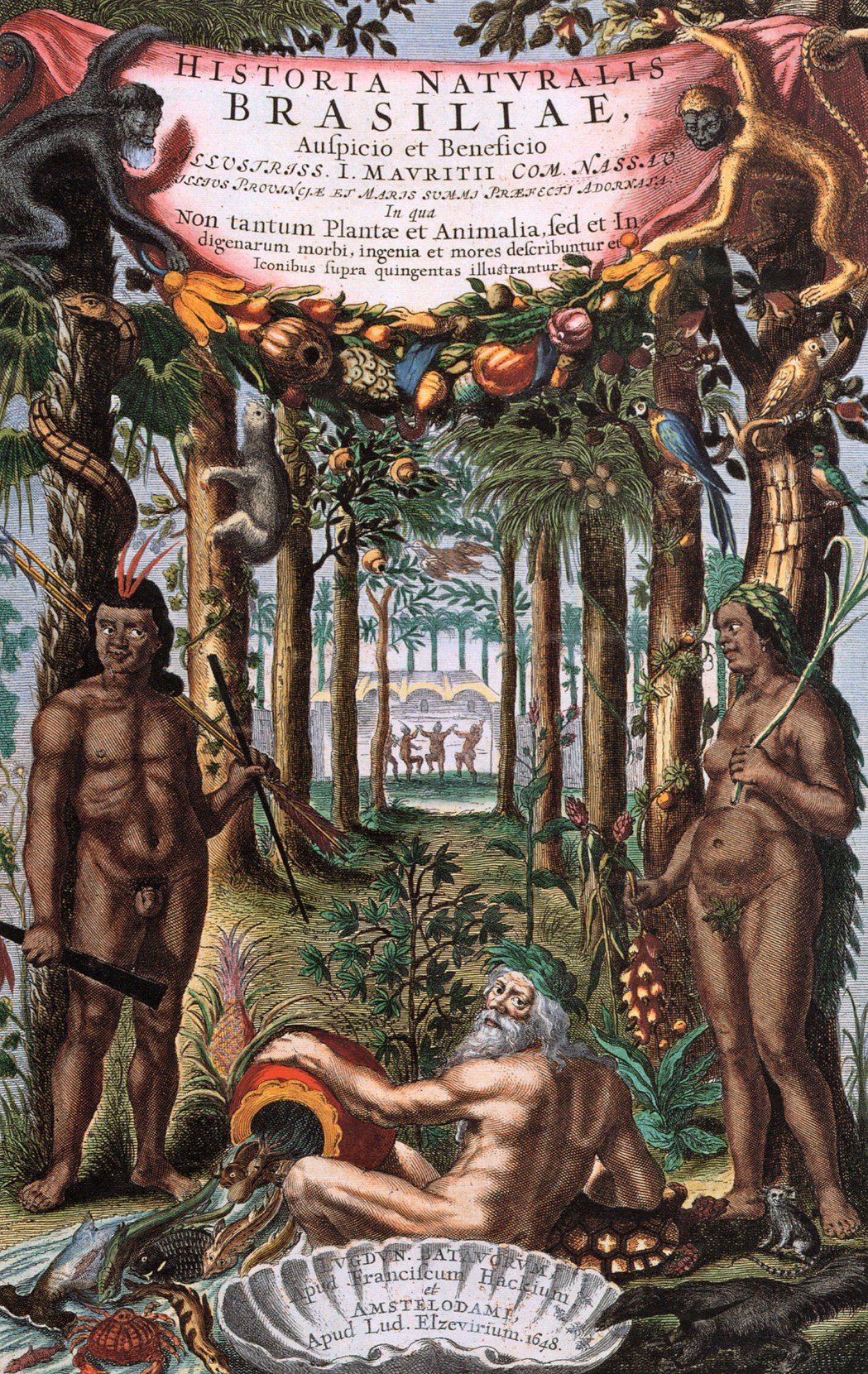 《巴西自然史》（Historia Naturalis Brasiliae）封面上色版畫，1648年。 圖／時報出版提供