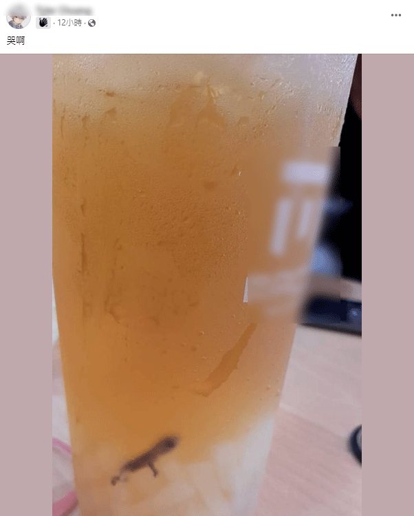 有位網友表示，有一隻壁虎正在飲料中游。 圖擷自臉書