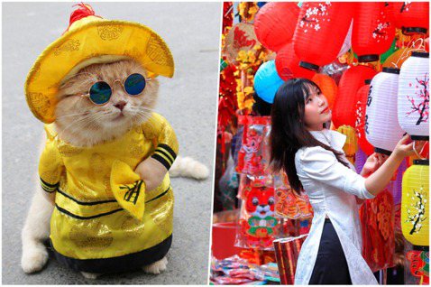一名越南海防市市民將家貓穿上中國風服飾（左）與購買新春燈籠的越南女子（右）。 圖...