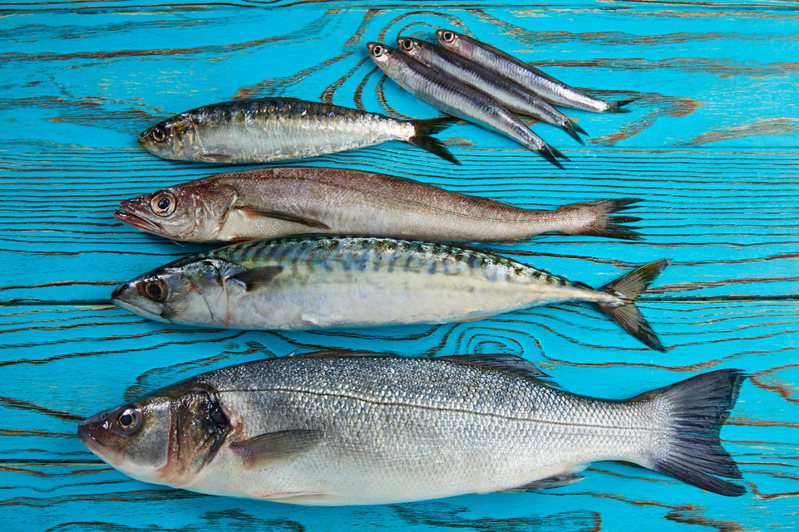 最新研究显示，若吃了一条在美国河流或湖泊捕捉的淡水鱼类，相当于喝了带有「永久性化学物质」的有毒饮用水长达一个月。示意图／Ingimage(photo:UDN)