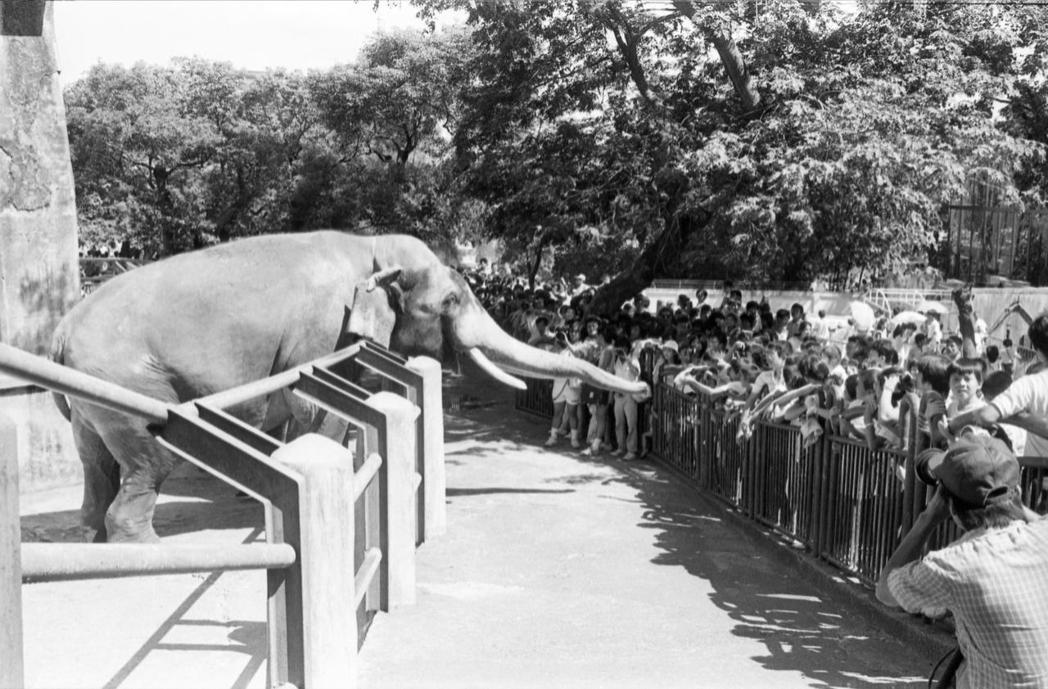 開放72年的台北市立圓山動物園，於1986年8月15日正式關閉。當日許多市民起個...