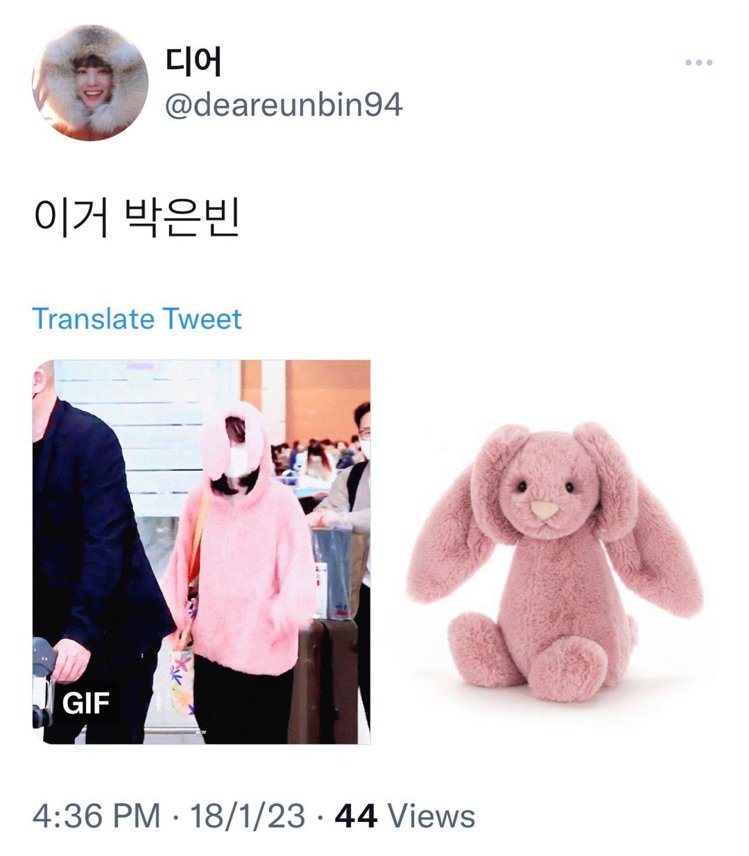 網友覺得朴恩斌兔子裝很像Jellycat兔子玩偶。 圖／擷自推特