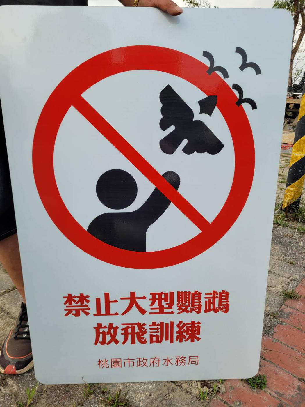 桃園大溪中庄調整池突立起告示牌寫下「禁止大型鸚鵡放飛訓練」，讓鳥友相當氣憤，為何...
