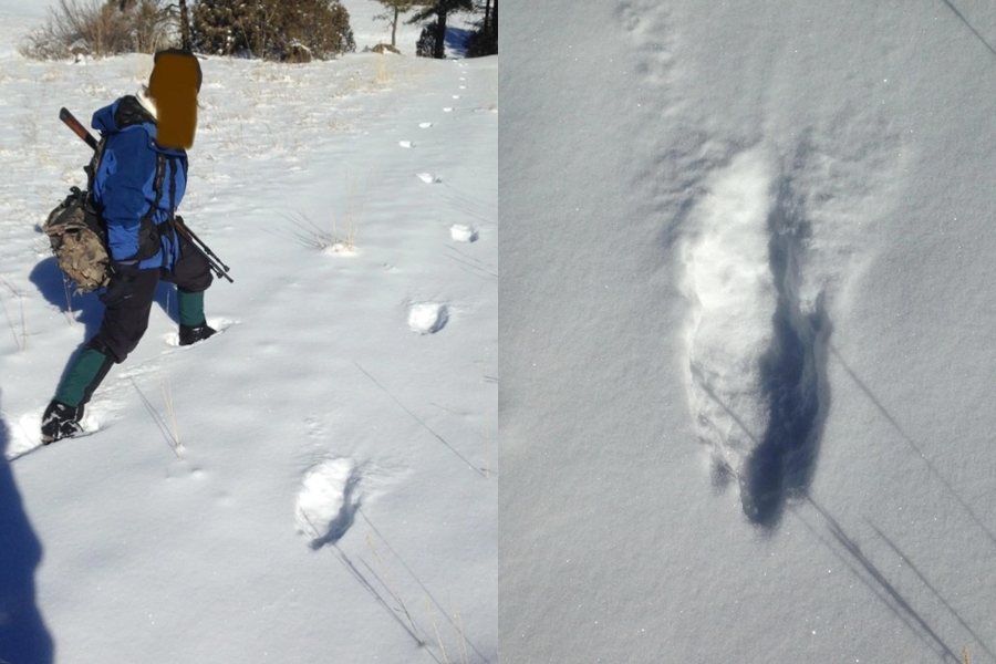雪地上疑似出現超巨大的腳印，引起網友討論。圖擷自Reddit