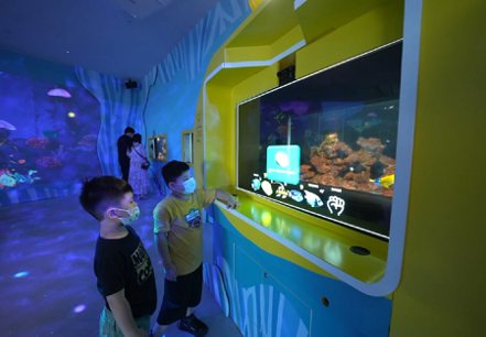 民眾於國立海洋科技博物館於潮境智能海洋館體驗「我視AI魚缸」。
工研院／提供