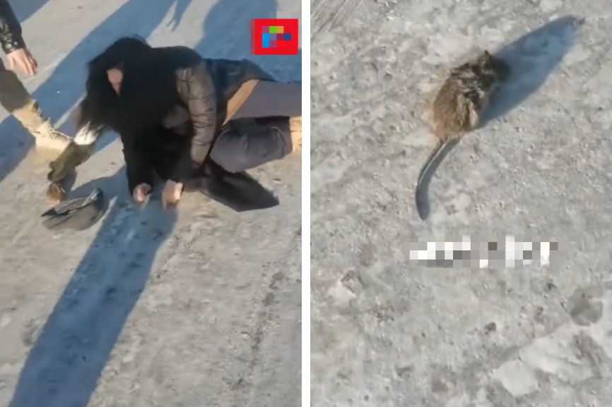 一名女子在結冰的路面上行走，看到一隻老鼠從旁邊竄出，嚇得她驚叫連連卻因此不慎摔倒，結果女子爬起來時竟然把老鼠壓死了，她想要轉身卻又再度因為重心不穩差點狠狠摔在地上。 (圖/取自影片)