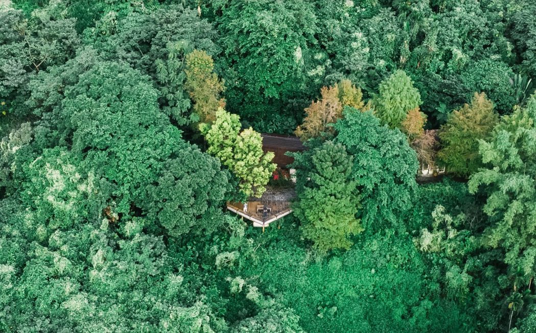 梯田山空拍，照顧一片森林。 圖／蔡昇達提供